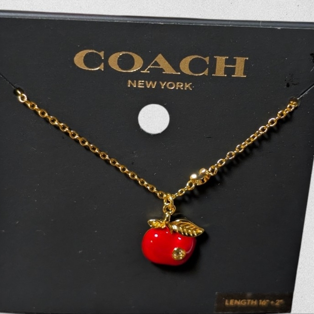 NEW NWT COACH Signature Apple charm pendant Necklace